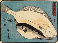 Globefish and Flounder. Original from the Minneapolis Institute of Art.