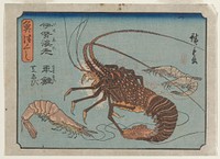 Lobster, Prawn, and Shrimps. Original from the Minneapolis Institute of Art.