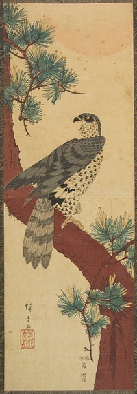 Falcon, Pine, and Sun. Original from the Minneapolis Institute of Art.