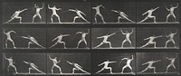 Fencing. From a portfolio of 83 collotypes, 1887, by Edweard Muybridge; part of 781 plates published under the auspices of the University of Pennsylvania. Original from the Minneapolis Institute of Art.