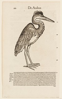 black and white (Heron). Original from the Minneapolis Institute of Art.
