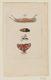 Plate 29. Original from the Minneapolis Institute of Art.