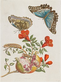 Plate 9. Original from the Minneapolis Institute of Art.