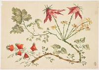 Ornament. Chinoiserie. Flowers.. Original from the Minneapolis Institute of Art.