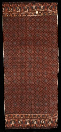 brown and blue on cream; floral medallions over squares with floral designs; border of organic and leaf-like designs at hemmed edges. Original from the Minneapolis Institute of Art.