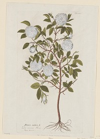 Tab. 405. Original from the Minneapolis Institute of Art.