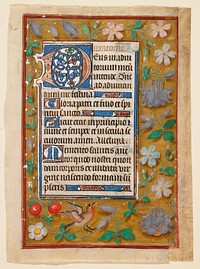 Double-sided; illumination on recto only; borders on all sides, top and one side narrower; solid gold (not leaf) background strewn with flowers and shadows: roses, rosebuds, columbine, iris, paquerettes, forget-me-nots, bluebells, and strawberries, and a bird; Text portion outlined with blue and narrow gold leaf, large initials foliated in red, blue and gold leaf, lettering in black and red.. Original from the Minneapolis Institute of Art.