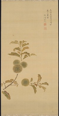 Branch with green and brown leaves and four wooly seed pods; inscription and two seals, URC. Original from the Minneapolis Institute of Art.