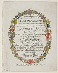 Frontispiece and Title Page. Vol. II from Icones Plantarum Medico-oeconomico-technologicarum. Original from the Minneapolis Institute of Art.