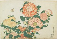 Chrysanthemums and Horsefly. Original from the Minneapolis Institute of Art.