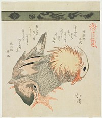 Mandarin Duck and Drake. Original from the Minneapolis Institute of Art.