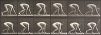 Walking on hands and feet. From a portfolio of 83 collotypes, 1887, by Edweard Muybridge; part of 781 plates published under the auspices of the University of Pennsylvania. Original from the Minneapolis Institute of Art.