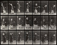 Lawn tennis, serving. From a portfolio of 83 collotypes (1887) by Edweard Muybridge; part of 781 plates published under the auspices of the University of Pennsylvania. Original from The Minneapolis Institute of Art.