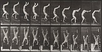 Acrobat descending stairs on hands. From a portfolio of 83 collotypes, 1887, by Edweard Muybridge; part of 781 plates published under the auspices of the University of Pennsylvania. Original from the Minneapolis Institute of Art.