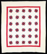 red and blue with white backing and background; thirty blue and white stars with red border; scalloped circular quilted designs alternate with stars; scrolling leaf and flower quilted borders. Original from the Minneapolis Institute of Art.