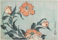 Poppies. Original from the Minneapolis Institute of Art.