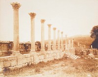 ruins with row of Corinthian columns on a stone wall; countryside in background. Original from the Minneapolis Institute of Art.