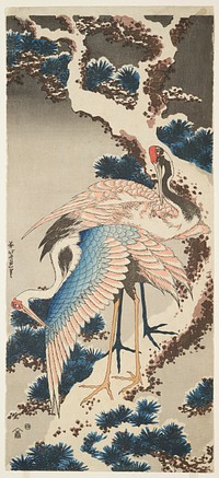 Two Cranes on a Snow-covered Pine Tree. Original from the Minneapolis Institute of Art.