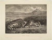 Royal Tiger by Eug&egrave;ne Delacroix. Original from the Minneapolis Institute of Art.