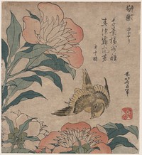 Shakuyaku kana ari. Original from the Library of Congress.