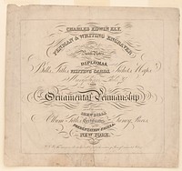 Charles Edwin Ely, penman & writing engraver will execute bank notes, diplomas. Original from the Library of Congress.