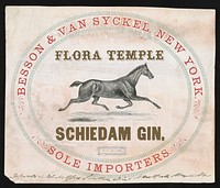 Flora Temple, Schiedam gin (1860)