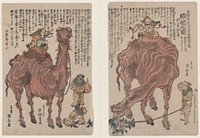 Rakuda no zu. Original from the Library of Congress.