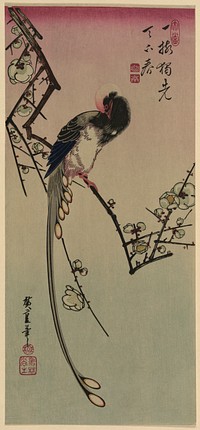 Ume ni onagadori. Original from the Library of Congress.