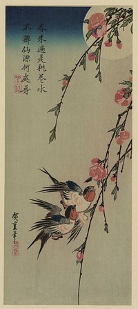 Gekka momo ni tsubakura. Original from the Library of Congress.