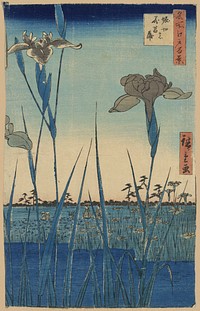 Horikiri no hanashōbu. Original from the Library of Congress.