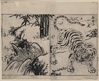 [Tiger near a cataract]. Original from the Library of Congress.