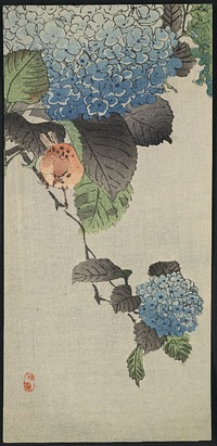 Ajisai ni shōkin. Original from the Library of Congress.