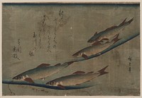 Ayu zu. Original from the Library of Congress.