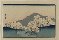 Sakura namiki zu. Original from the Library of Congress.