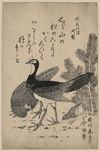 Komatsu ni yamadori. Original from the Library of Congress.