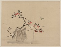 [Blue bird about to land on a branch of a fruit tree]. Original from the Library of Congress.