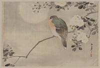 [Bird perched on a branch of a blossoming tree]. Original from the Library of Congress.