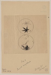 [Circular designs, maple leaves in a bubble and a person blowing bubbles]. Original from the Library of Congress.