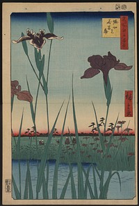 Horikiri no hanashōbu. Original from the Library of Congress.
