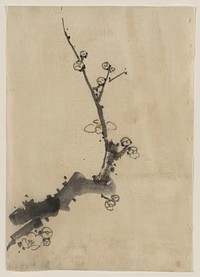 [Fruit tree branch with blossoms]. Original from the Library of Congress.
