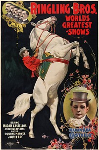 Ringling Bros. World's Greatest Shows: Madam Ada Castello. Daring Madam Castello's amazing exploits on the equine marvel "Jupiter". Promotional poster for Ringling Brothers by the Coach Lithographic Co., Buffalo, New York, ca. 1899.Here is what little I could find about here (click for a picture): Ada ("the Great Zazell") Wallett [Castello] Born January 5 1865 in Birmingham, England, died October 15, 1929 in Henderson, North Carolina. The Great Zazell performed across America and in several other countries as the first woman to be shot from a cannon in America. She also performed with her husband, David Castello Loughlin, in his equestrian act. David was the son of Dan Castello, one of the founders of the Barnum & Bailey Circus.From the Performing Arts Poster Collection at the Library of CongressMore circus posters | More performing arts posters