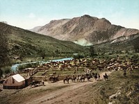 Colorado. "Round up" on the Cimarron, a photochrom print from c. 1898, showing one of the large musters of cattle done in the days before barbed wire, fences, and easy access to transport ended the necessity for the practice.This is almost certainly in the town of Cimarron, compare the 1883 photograph on the right.
