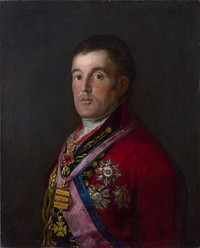 The Duke of Wellington