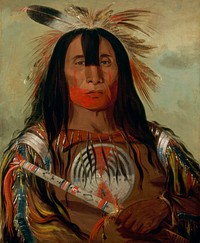 George Catlin - Buffalo Bulls Back Fat - Smithsonian