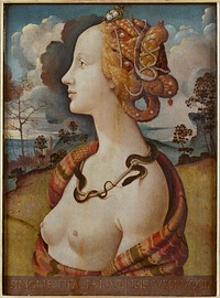 Piero di Cosimo - Portrait de femme dit de Simonetta Vespucci - Google Art Project