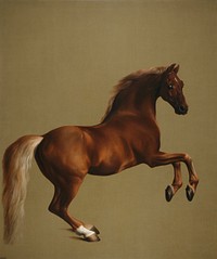 Whistlejacket is an oil-on-canvas painting from about 1762 showing the Marquess of Rockingham's racehorse, rearing up against a blank background. 