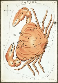 "Cancer", plate 19 in Urania's Mirror, a set of celestial cards accompanied by A familiar treatise on astronomy by Jehoshaphat Aspin. London. Astronomical chart, 1 print on layered paper board : etching, hand-colored.