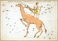 "Camelopardalis, Tarandus and Custos Messium", plate 2 in Urania's Mirror, a set of celestial cards accompanied by A familiar treatise on astronomy ... by Jehoshaphat Aspin. London. Astronomical chart, 1 print on layered paper board : etching, hand-colored.