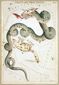 "Draco and Ursa Minor", plate 1 in Urania's Mirror, a set of celestial cards accompanied by A familiar treatise on astronomy ... by Jehoshaphat Aspin. London. Astronomical chart, 1 print on layered paper board : etching, hand-colored.