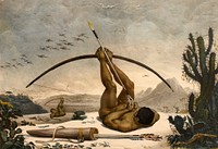 An Indian lying down displaying his extreme skill in handling the bow and arrow. It occupies the center of the image, however, a little distant, stands another Indian in the same position and, farther back, a third archer, standing, also shoots his arrow in the wild and natural landscape, in which no sign of colonizers can be identified.If the image (nudity, use of indigenous weapons, wild landscape) could suggest that we are in front of a "wild Indian", the title of the painting of Caboclos or civilized Indians and the text to which it corresponds, Village of São Lourenço, leave no doubt about the classification given by Debret to the characters: these are caboclos - "civilized Indians", generic name that, in the province of Rio de Janeiro, was given to "every civilized and baptized Indian."The archer was the object of Debret's gaze, a caboclo of São Lourenço, who lived in intense contact with colonial society, yet maintained his skill with the bow and arrow and placed himself in that manner to attract the admiration of foreign travelers. According to the description, it was common to find them among the civilized of the villages, Indian archers, perhaps disdainful, interested in exhibiting their dexterity to the strangers who passed by. If that was the goal, it seems to have been achieved, at least with Debret. The cited text evinces the admiration of the artist for the Indian's ability, evidence reinforced by the option to portray him, associating it in the text about the village of São Lourenço